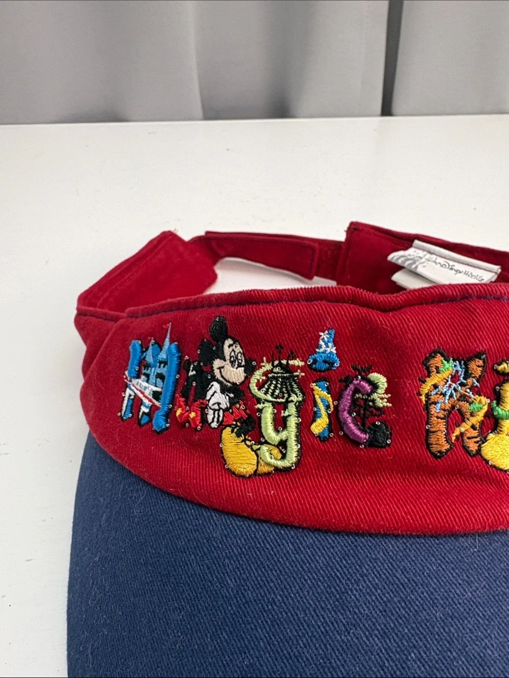 Magic kingdom visor